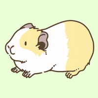 Teeth Licht GIF