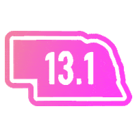 marathon lincoln Sticker by Pink Gorilla Events