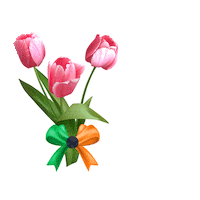 8 March Love Sticker by irshad