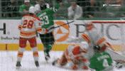 Happy Dallas Stars GIF by NHL