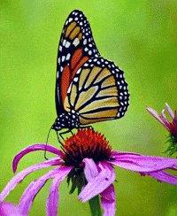 Video Picture GIF by GT8Studios