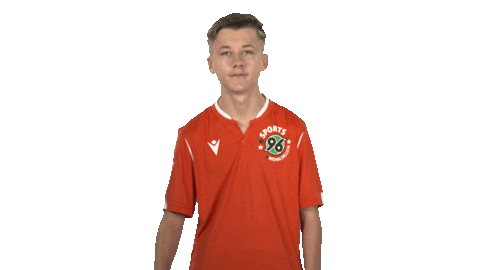 Hannover 96 Esports Sticker by Bundesliga