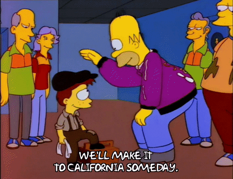Season 6 Episode 13 GIF by The Simpsons