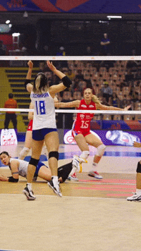 Sport Smash GIF by Volleyball World