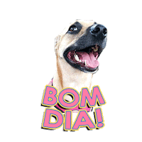 Bom Dia Sofia Sticker by Agencia Infuse