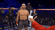 Glover Teixeira Fighting GIF by UFC