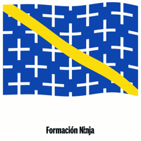 Flag Spain GIF by Formación Ninja
