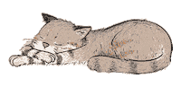 Cat Zzz Sticker