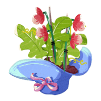 Plants Tlc Sticker