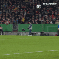 Save Champions League GIF by FC Bayern Munich