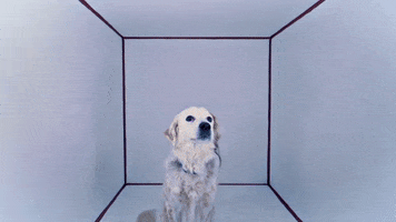 mergerecords puppy dogs plants doggo GIF