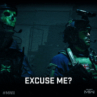 Excuse Me What GIF by Call of Duty
