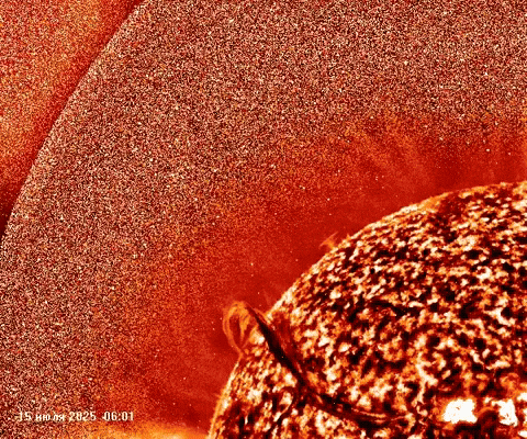 michalkin giphyupload GIF