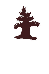 Zion National Park Sticker by Southern Utah University