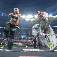 Wwe Raw GIF