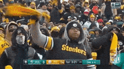 Pittsburgh Steelers Football GIF by NFL