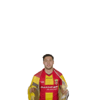 Football Celebrating Sticker by Go Ahead Eagles