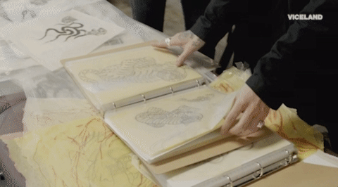 viceland GIF by Needles & Pins