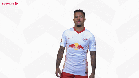 Champions League Home GIF by RB Leipzig