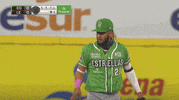 Fernando Tatis Smile GIF by Jomboy Media