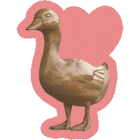 Acc Pato Sticker by Andares Centro Comercial