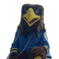 Valor Goldeneagles Sticker by AmericanPublicUniversity