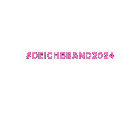 Logo Stars Sticker by DEICHBRAND Festival