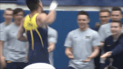 michigan men's gymnastics GIF by Michigan Athletics