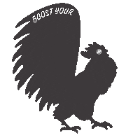 Go Boldly Bass Fishing Sticker by mercurymarine