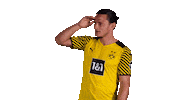 Borussia Dortmund What Sticker by Bundesliga