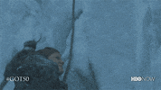 Hbo GIF by Game of Thrones