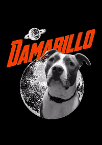 fitkafa damar fitkafa GIF