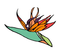 Bird Of Paradise Flower Sticker