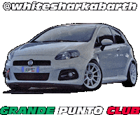 Abarth Sticker by Grande Punto Club Italia