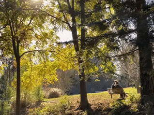 lisanguyen85ff giphyupload GIF