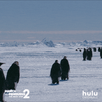 march of the penguins walk GIF by HULU