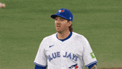 Blue Jays Baseball GIF by Toronto Blue Jays