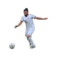 Pcp Sticker by Playford Patriots Soccer Club