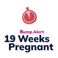Pregnancy Expecting Sticker by The Bump
