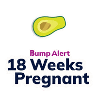 Pregnancy Expecting Sticker by The Bump