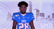 College Sports Ncaa GIF by SMU Football
