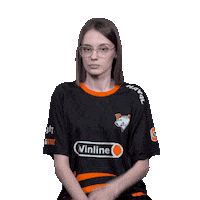 The Bears Esports Sticker by Virtus.pro