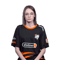 The Bears Esports Sticker by Virtus.pro