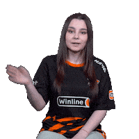 The Bears Esports Sticker by Virtus.pro