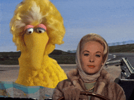 Driving Sesame Street GIF by Bell Brothers