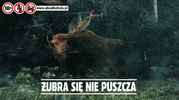 Traba GIF by Zubr