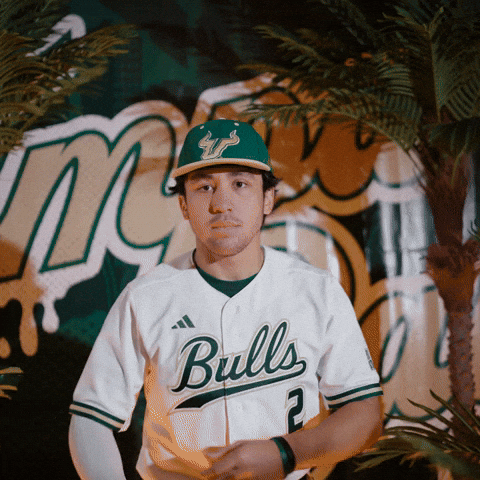 South Florida Baseball GIF by USF Athletics