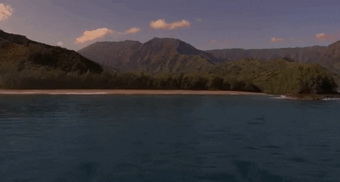 d4441 giphyupload GIF