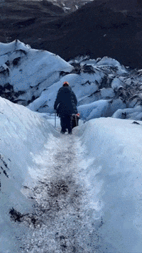 GIF by Culture Trip
