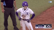 Clapping Applause GIF by Northwestern Athletics